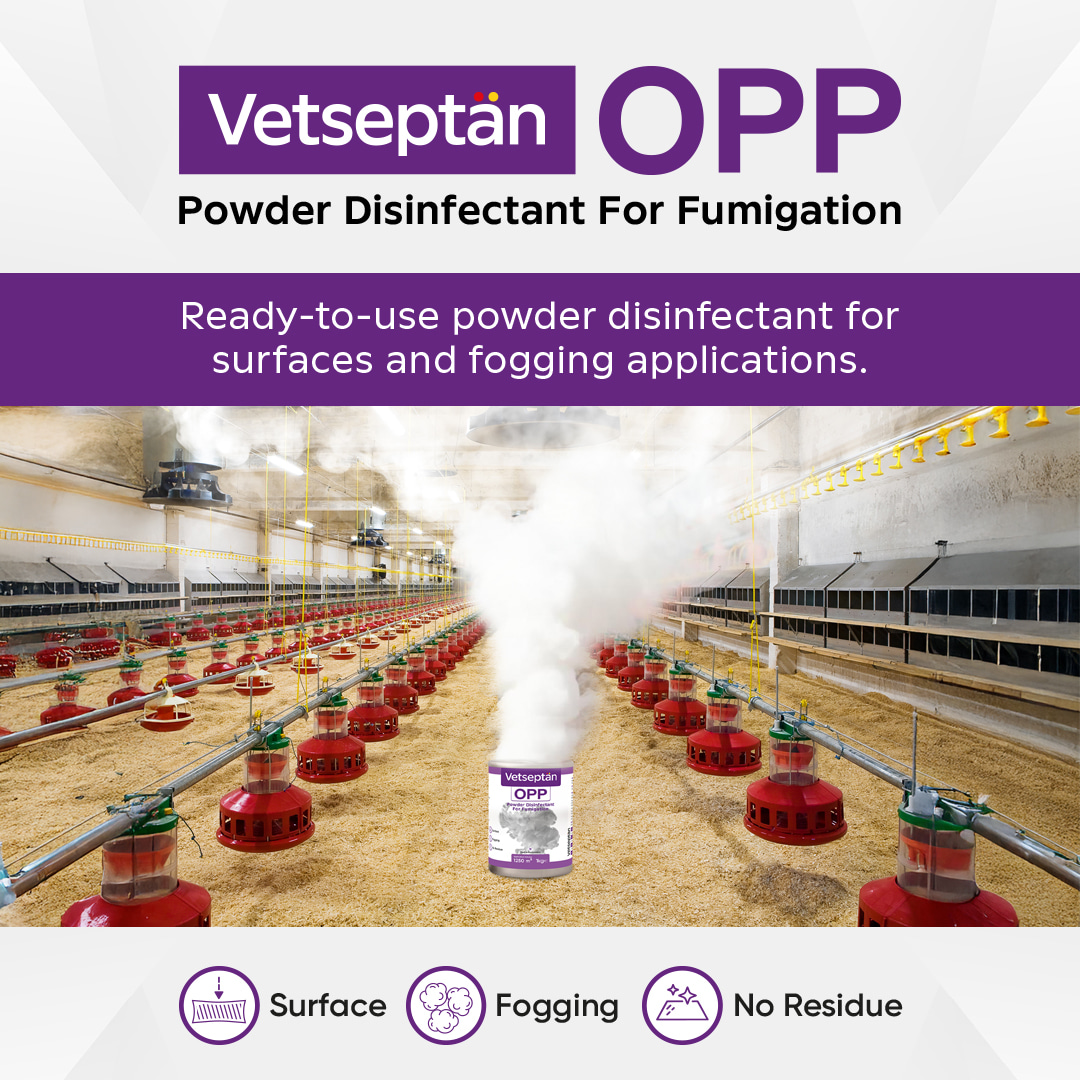 vetseptan-opp-banner-img-mobile