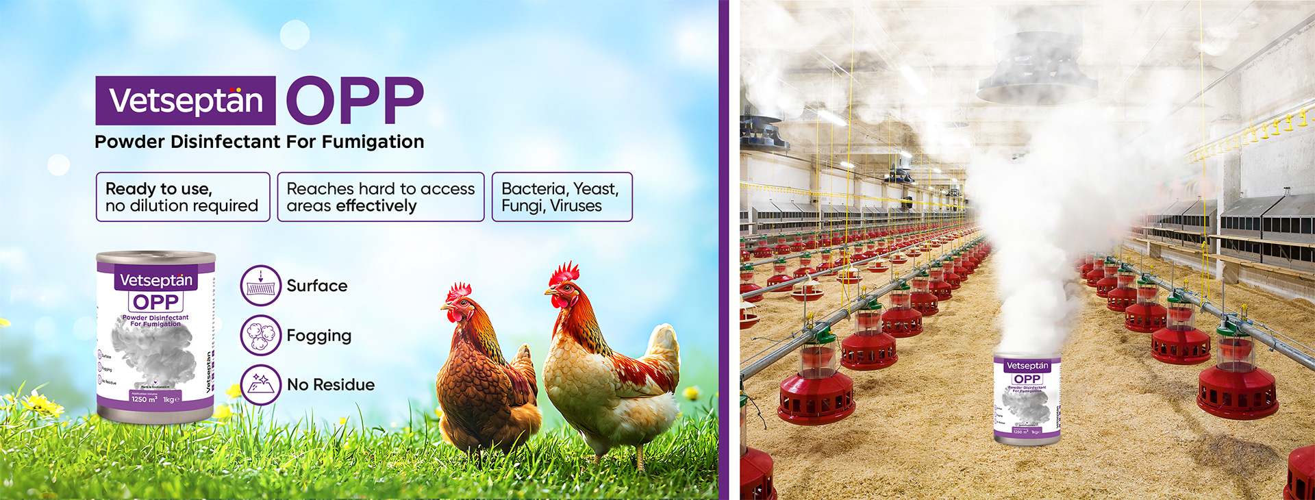 vetseptan-opp-banner-img